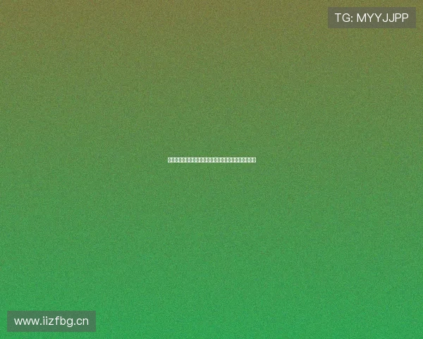 星速下载安装手机版最新版本全功能体验指南与操作教程